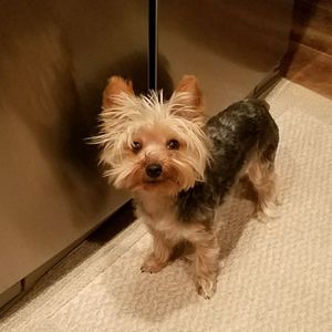 Meet your Posher, Stacy